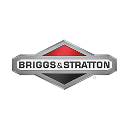 Briggs & Stratton